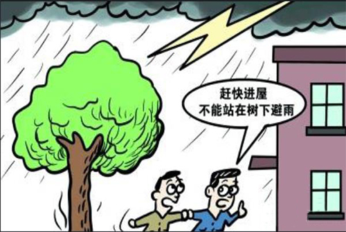 雷雨临空，你应该躲到哪里去