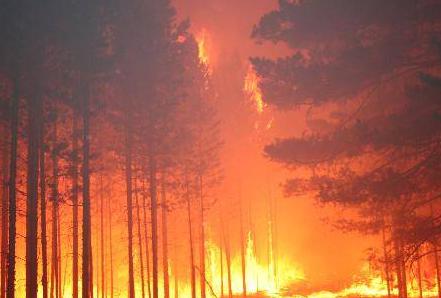 雷电所造成的危害—和你有关的3点要知道(连载2)【易造防雷】