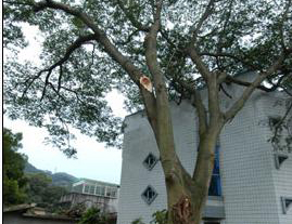 雷电所造成的危害—这就是原因(连载4)【易造防雷】