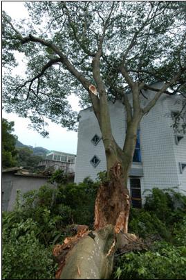 雷电所造成的危害