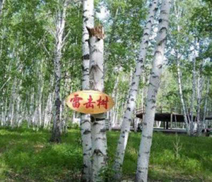 雷对建筑物的危害-点击了解（连载2）【易造防雷】