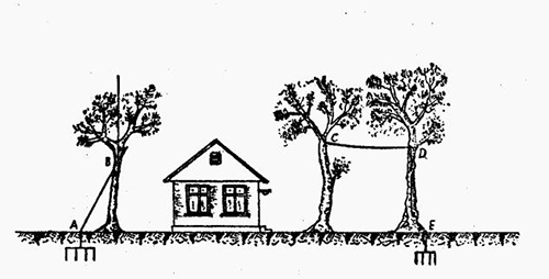 怎样设计建筑物的防雷设备—利用树木做避雷针的支柱