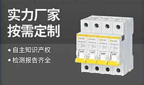 后备保护器国内电器品牌-技术一对一选型报价【易造防雷】