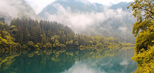 景区环境监测预警系统-选择知名品牌生产厂家【易造防雷】