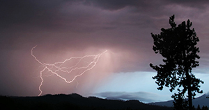 雷击保护器在这些地区简直就是“神器”