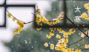 大寒始-冬愈尽 等春来 年味至-易造防雷