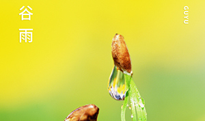 谷雨｜春生万物长,雨落逢初夏-你准备好迎接夏天了吗--易造防雷