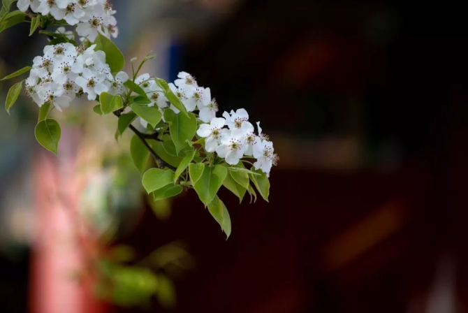立夏丨春光万象中，夏日初长成--易造防雷