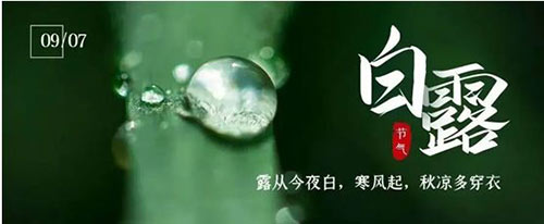 白露 | 夏意已去，凉秋来临