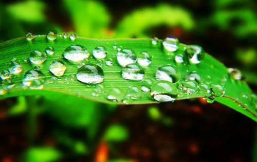白露 | 夏意已去，凉秋来临