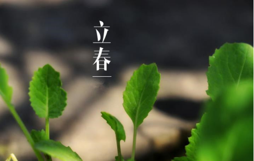 立春-节气由来