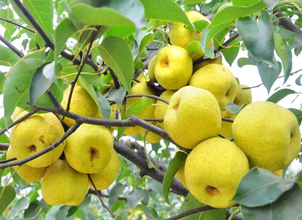 惊蛰-惊雷响 万物生-易造防雷